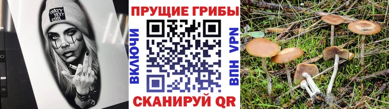 гидра сайт  Миасс  Галлюциногенные грибы Cubensis  где купить  