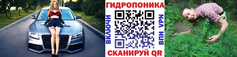 blacksprut онион Миасс Бошки Шишки ГИДРОПОН